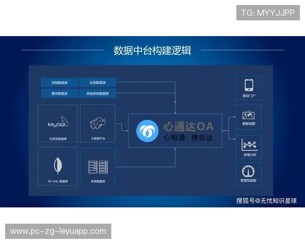 新闻中心深度分析高层管理结构调整强化数字经济布局