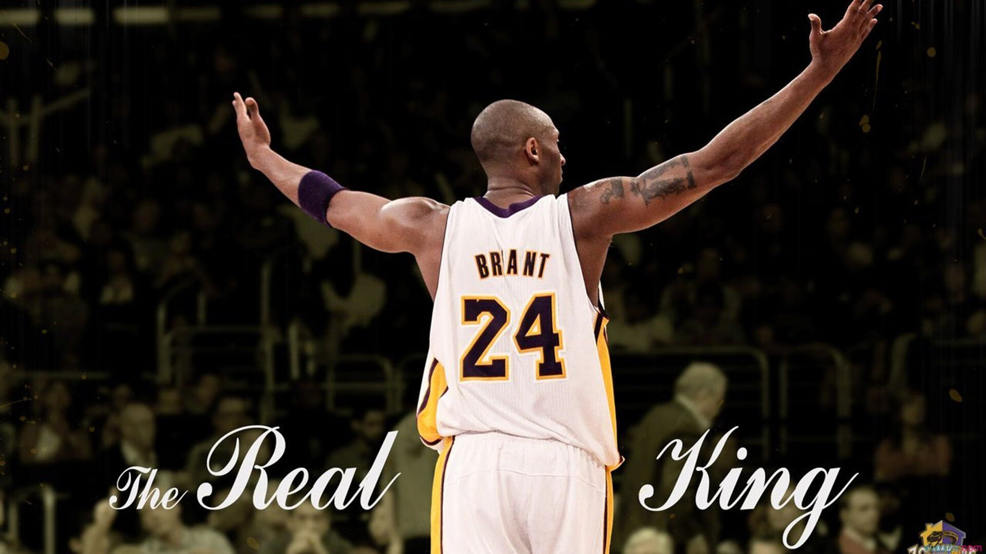 Leyu Sports (乐鱼体育)-《堡垒之夜》“未来光影”季节盛典，创意极致！