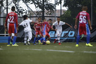 LeyuSports-中国足球青训成果展示会在多地举办，中国足球青训比赛